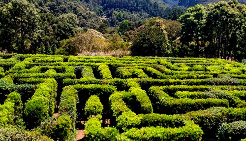 Parque Amantikir Garden