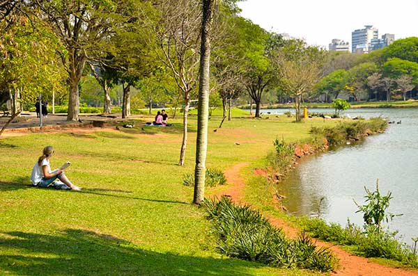Parque Ibirapuera SP