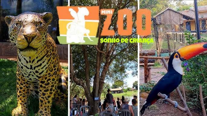 Zoo Sonho de Criança