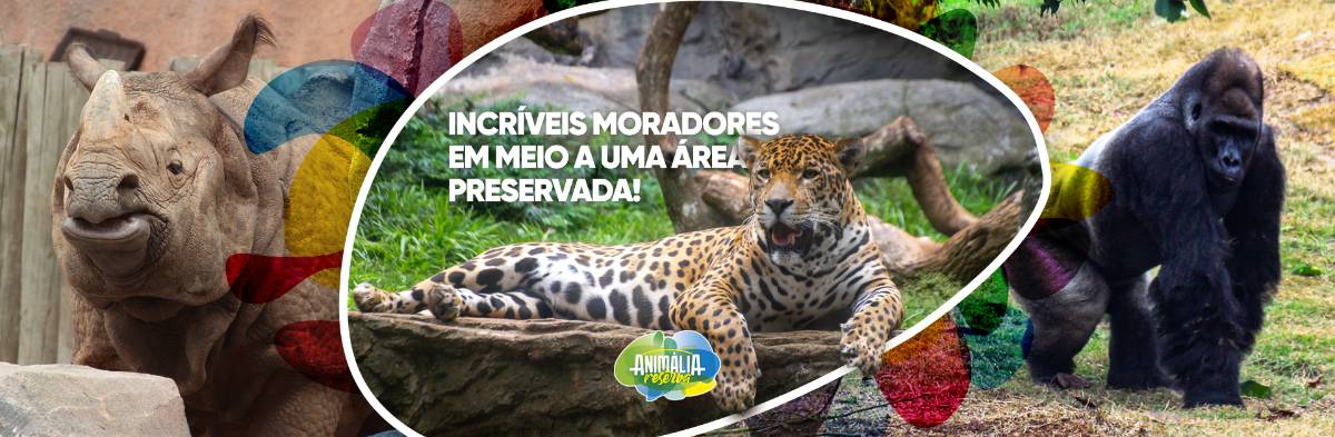 Animália Park