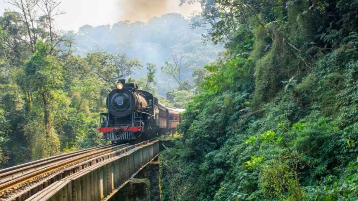 TREM RIO NEGRINHO CORUPÁ - SC