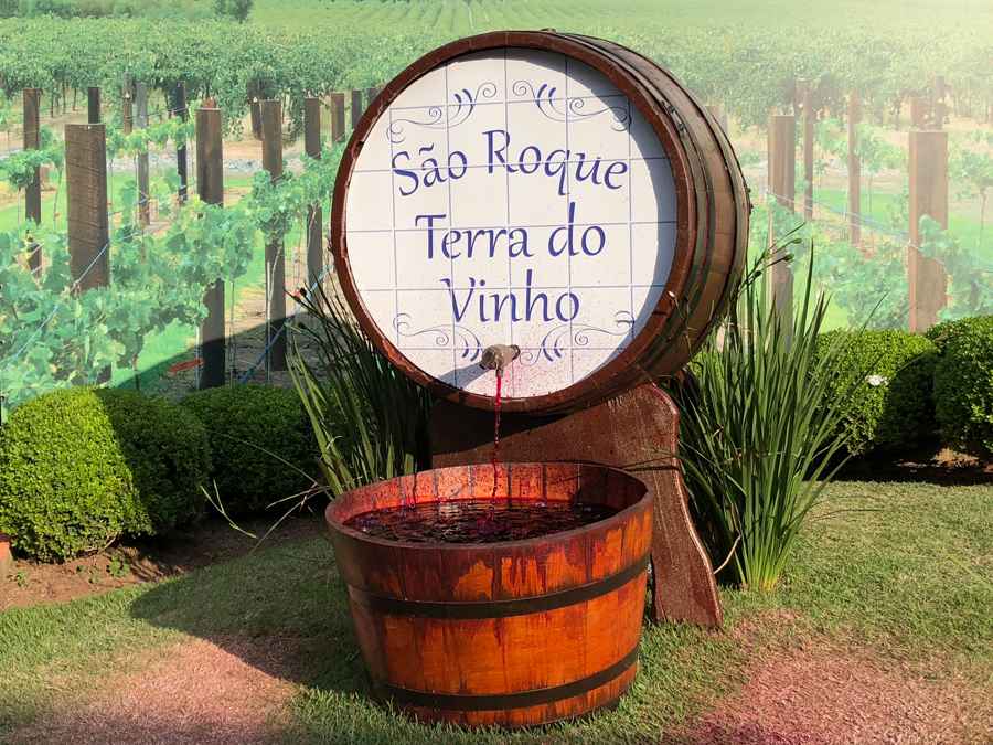 Excursão São Roque (Rota do Vinho)