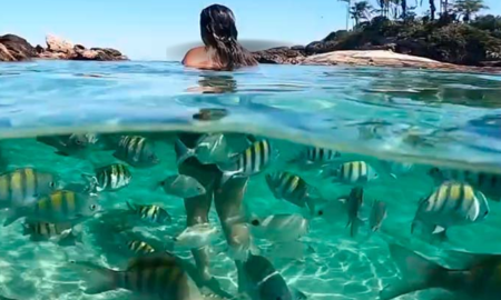 Ilha Grande - RJ