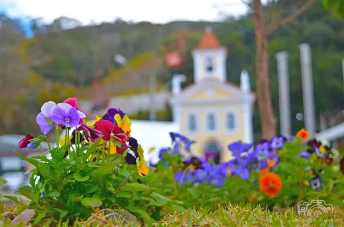 Fazenda de Flores - Nova Friburgo