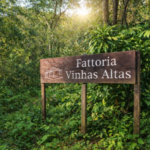 Vinícola Fattoria Vinhas Altas