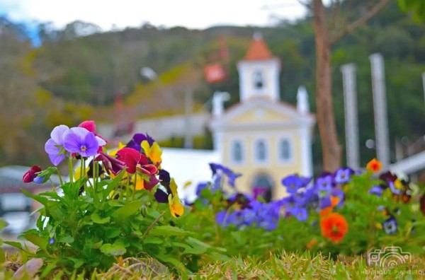 Fazenda de Flores - Nova Friburgo