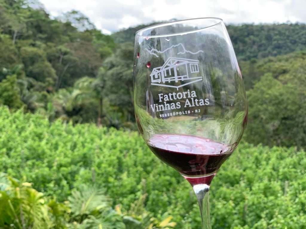 Vinícola Fattoria Vinhas Altas