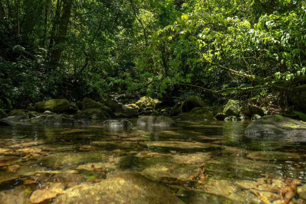 FAZENDA COLOMI - GUAPIMIRIM/RJ