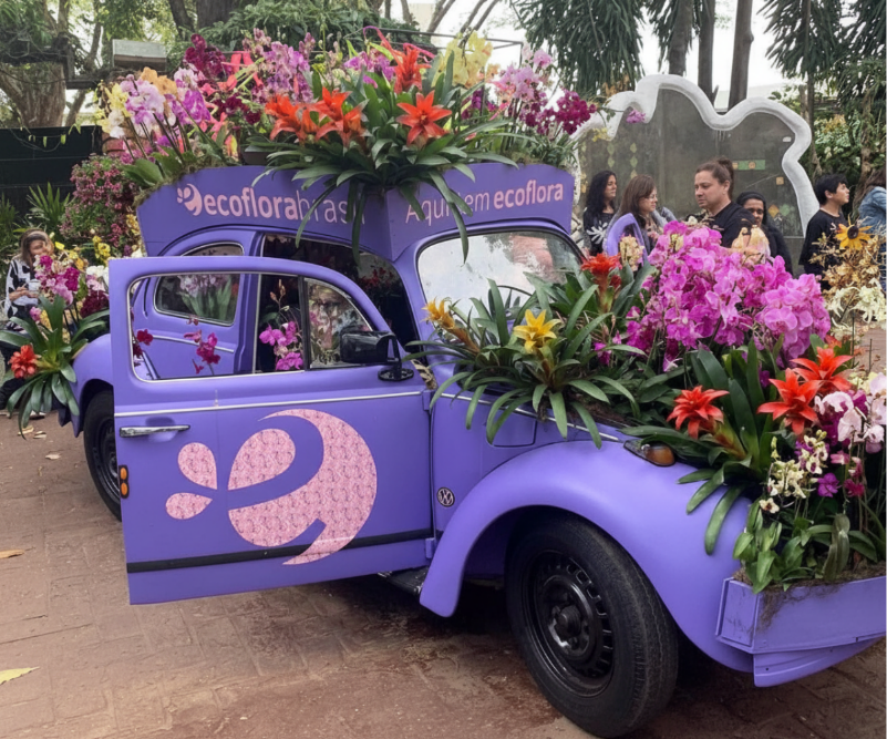 BATE E VOLTA EM HOLAMBRA-SP