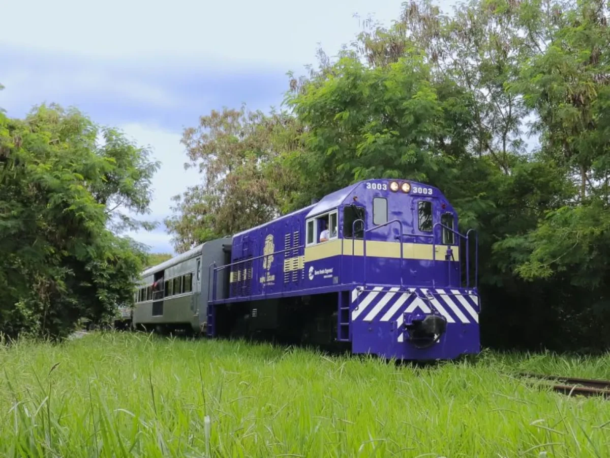 TREM DA REPÚBLICA - GERAL