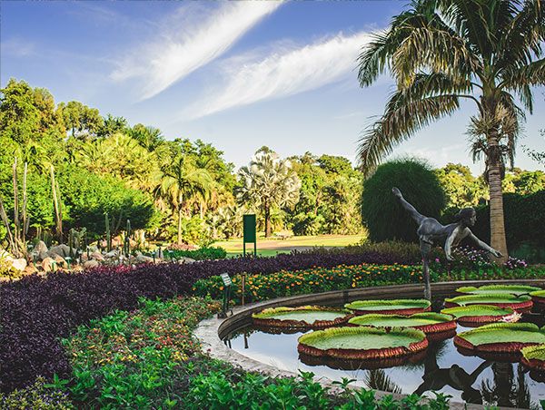 Jardim Botânico Nova Odessa