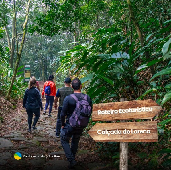 Caminhos da Serra do Mar