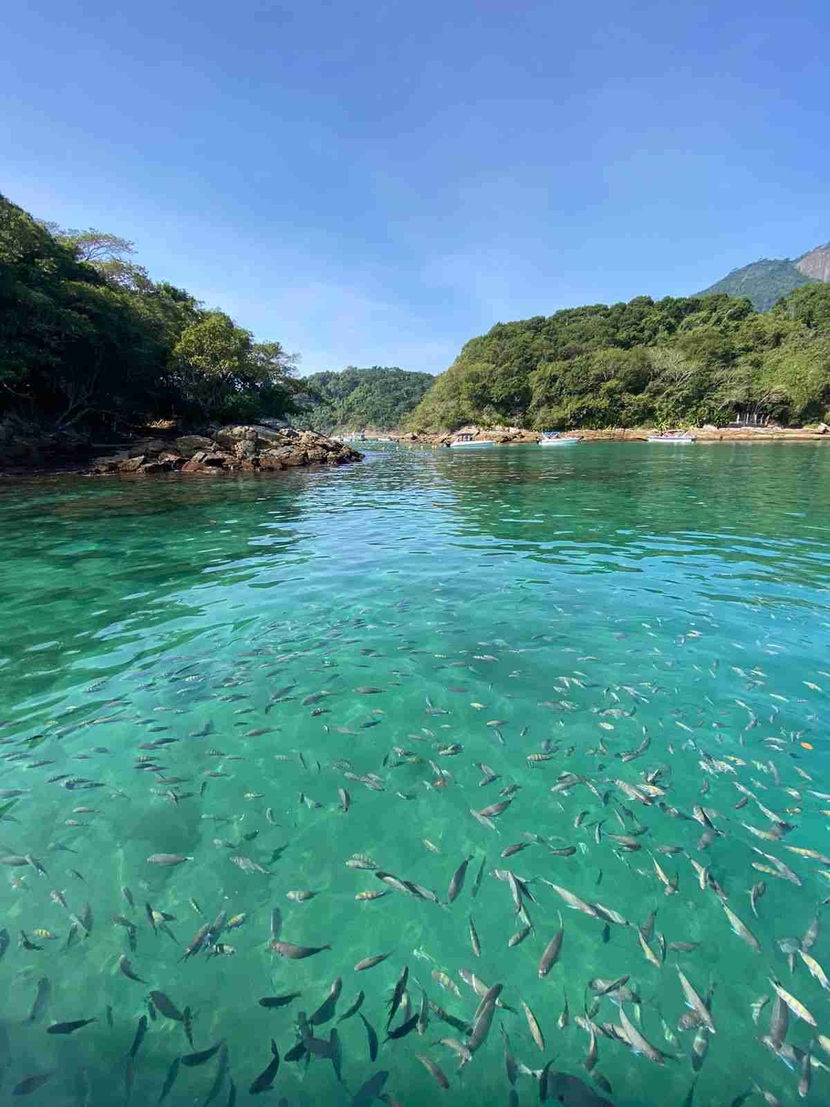 Excursão Ilha Grande