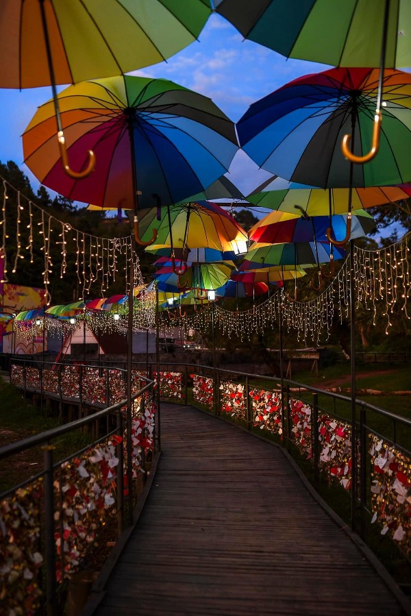 Natal dos Sonhos em Campos do Jordão