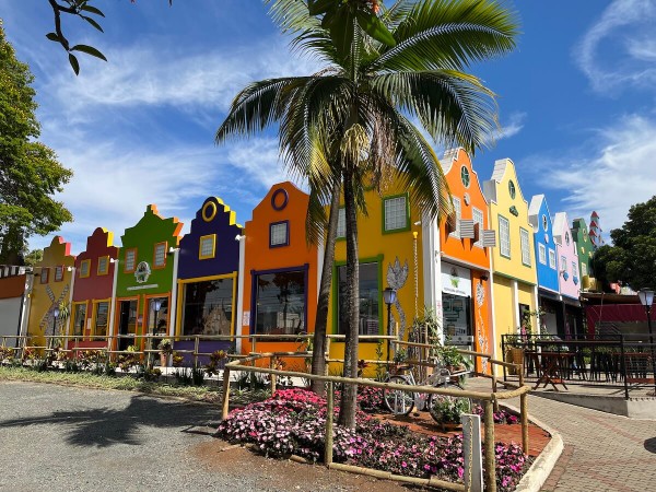 Excursão Holambra
