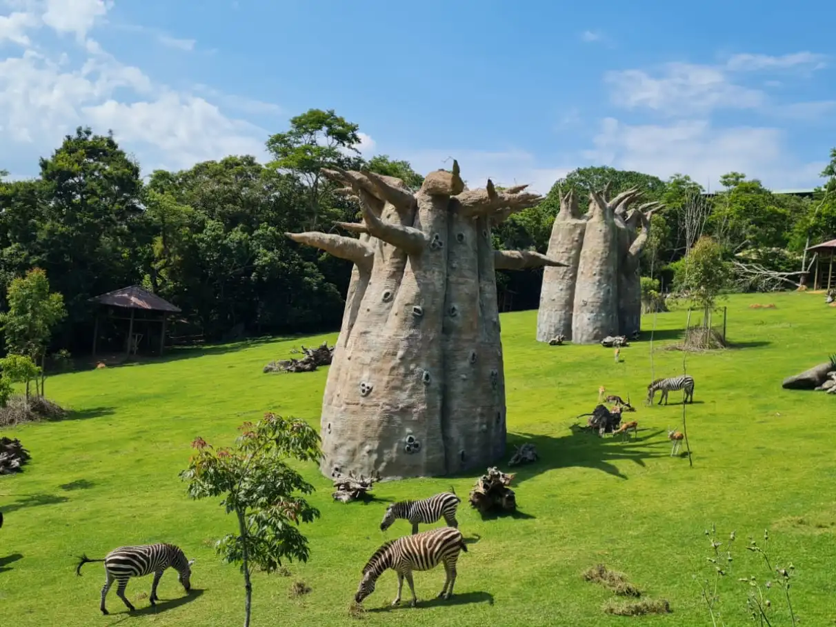 Animália Park e Fábrica Cacau Show