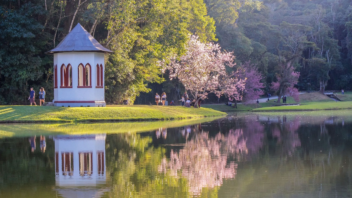 Friburgo - Compras Olaria