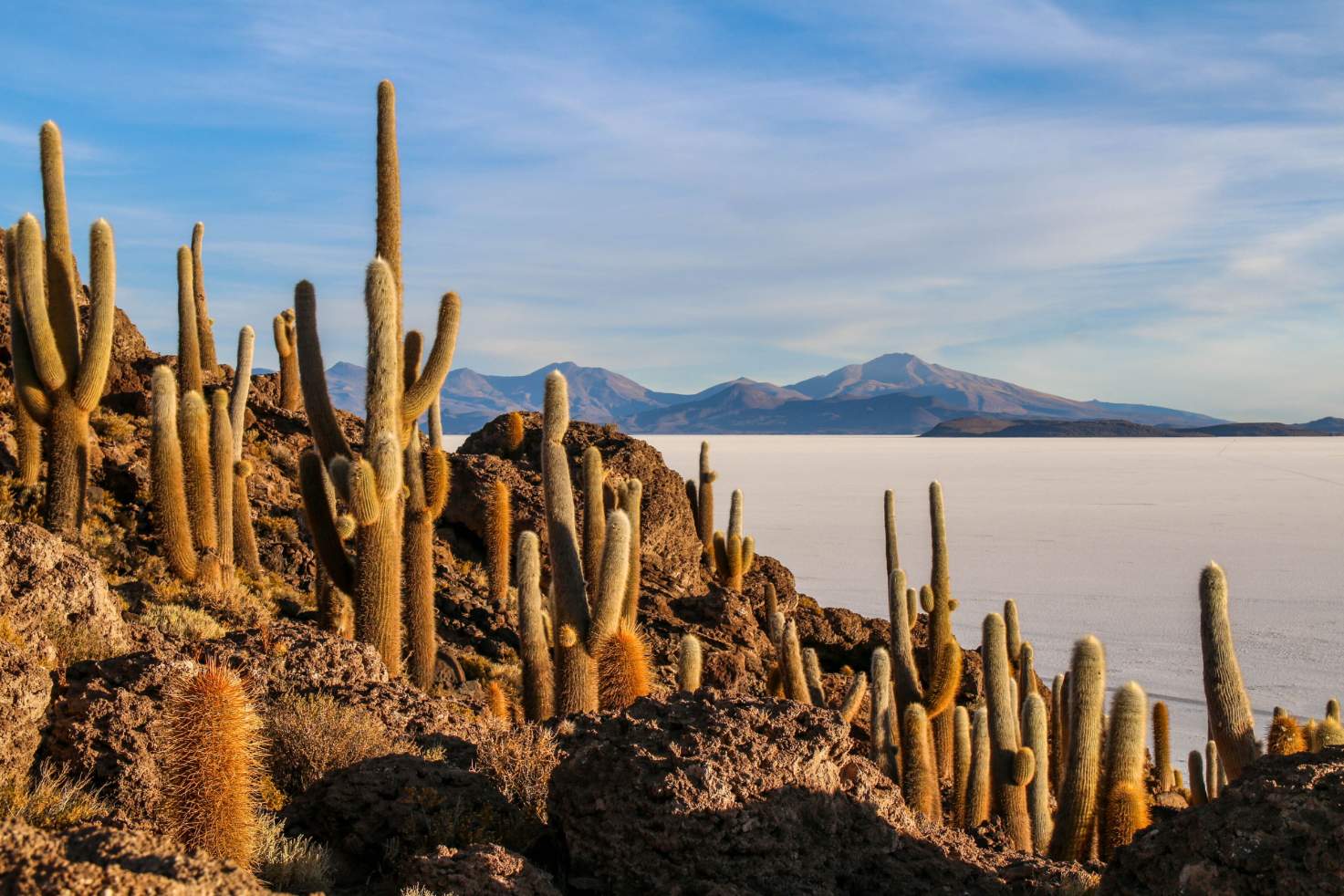 ATACAMA & SALAR DE UYUNI ATACAMA & SALAR DE UYUNI