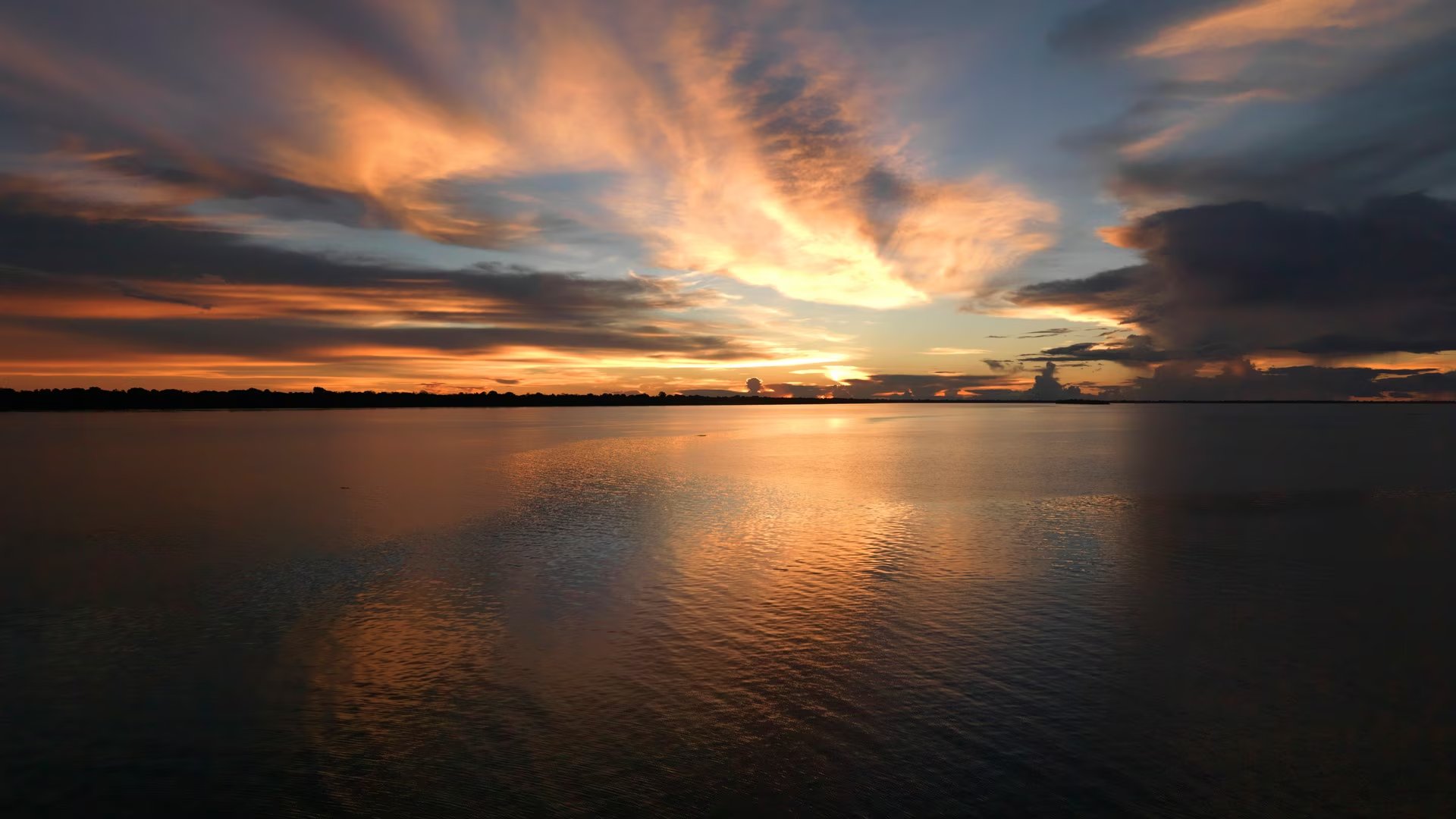 Grand Amazon Expedition – Cruzeiro pela Amazônia