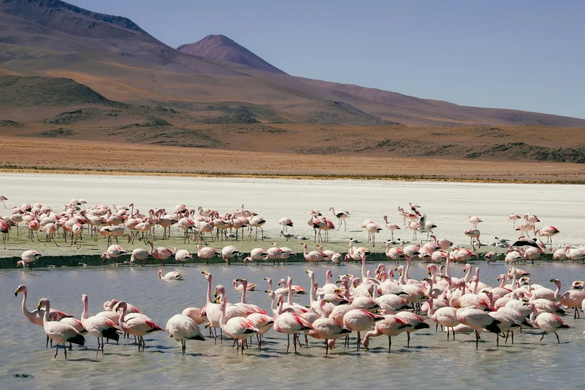 ATACAMA & SALAR DE UYUNI ATACAMA & SALAR DE UYUNI