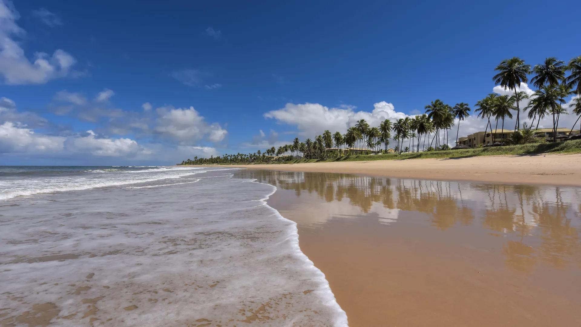 Iberostar Waves Bahia | Páscoa no Paraíso Iberostar Waves Bahia | Páscoa no Paraíso