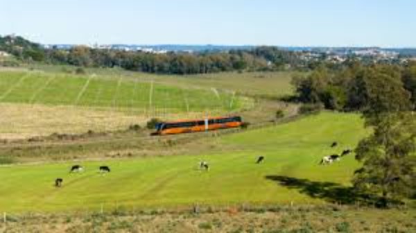 Pacote Trem do Pampa