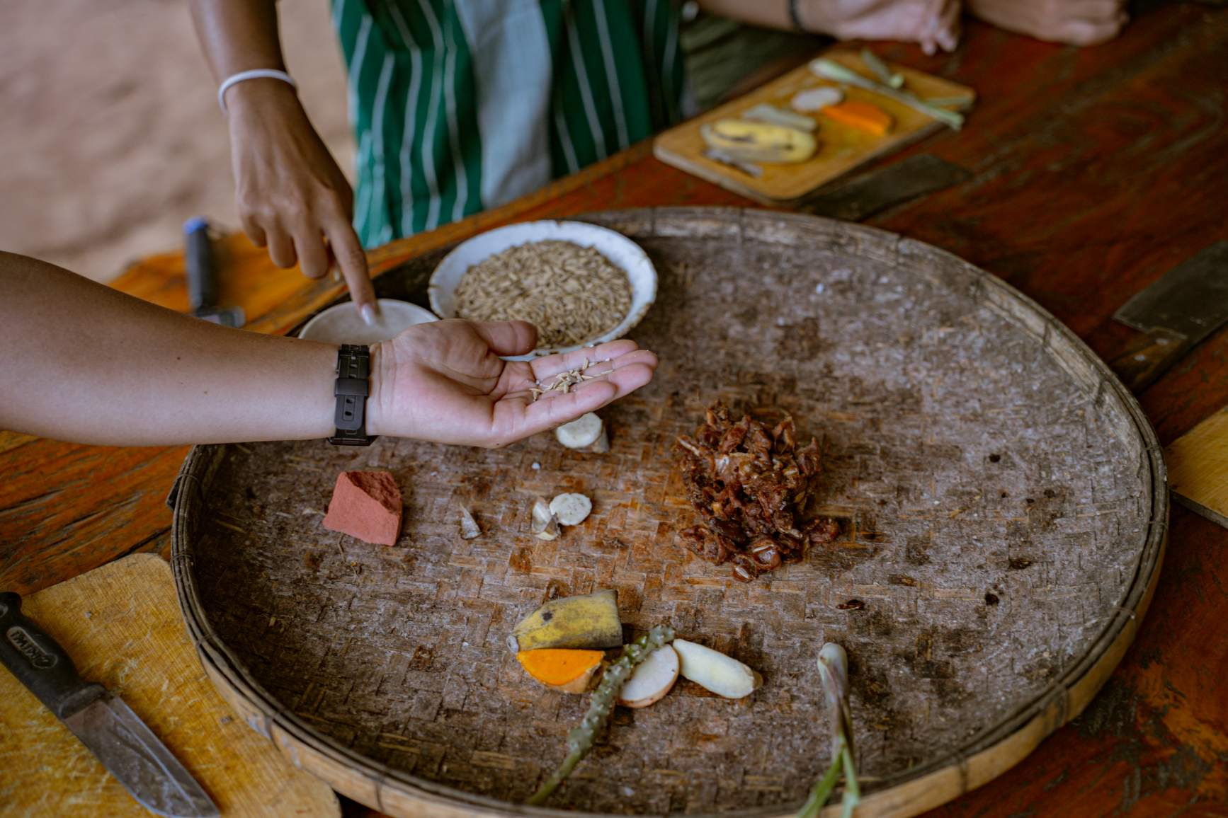 Tour Santuário Ético de Elefantes em Chiang Mai com Guia em Português