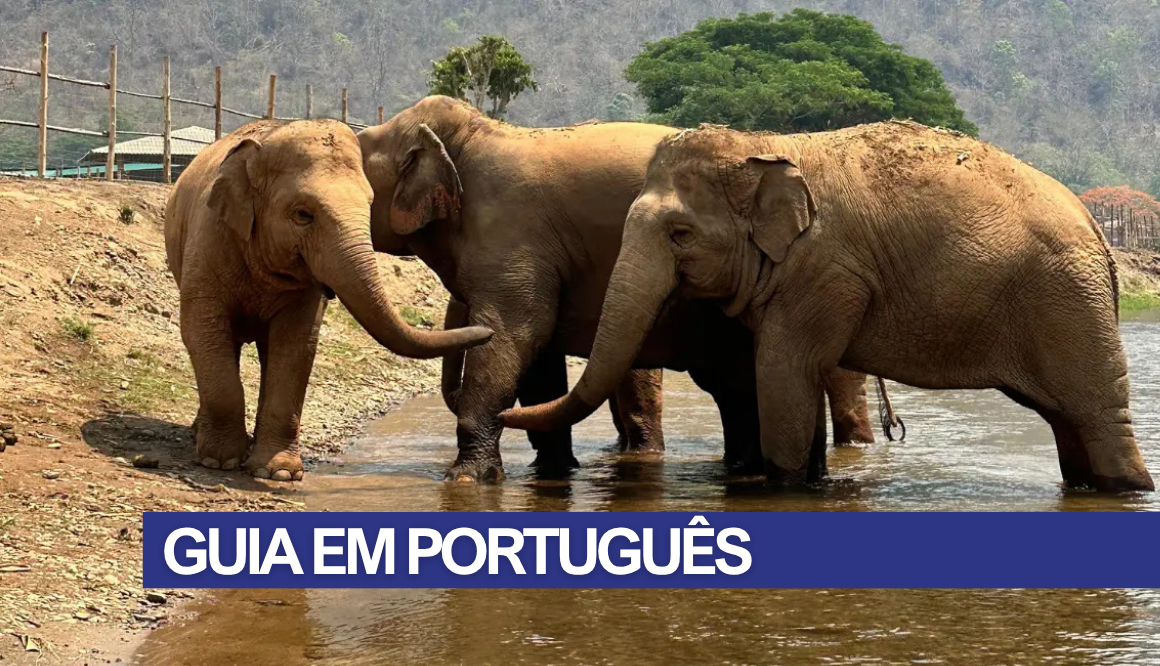 Tour Santuário ético de Elefantes em Chiang Mai com Guia em Português