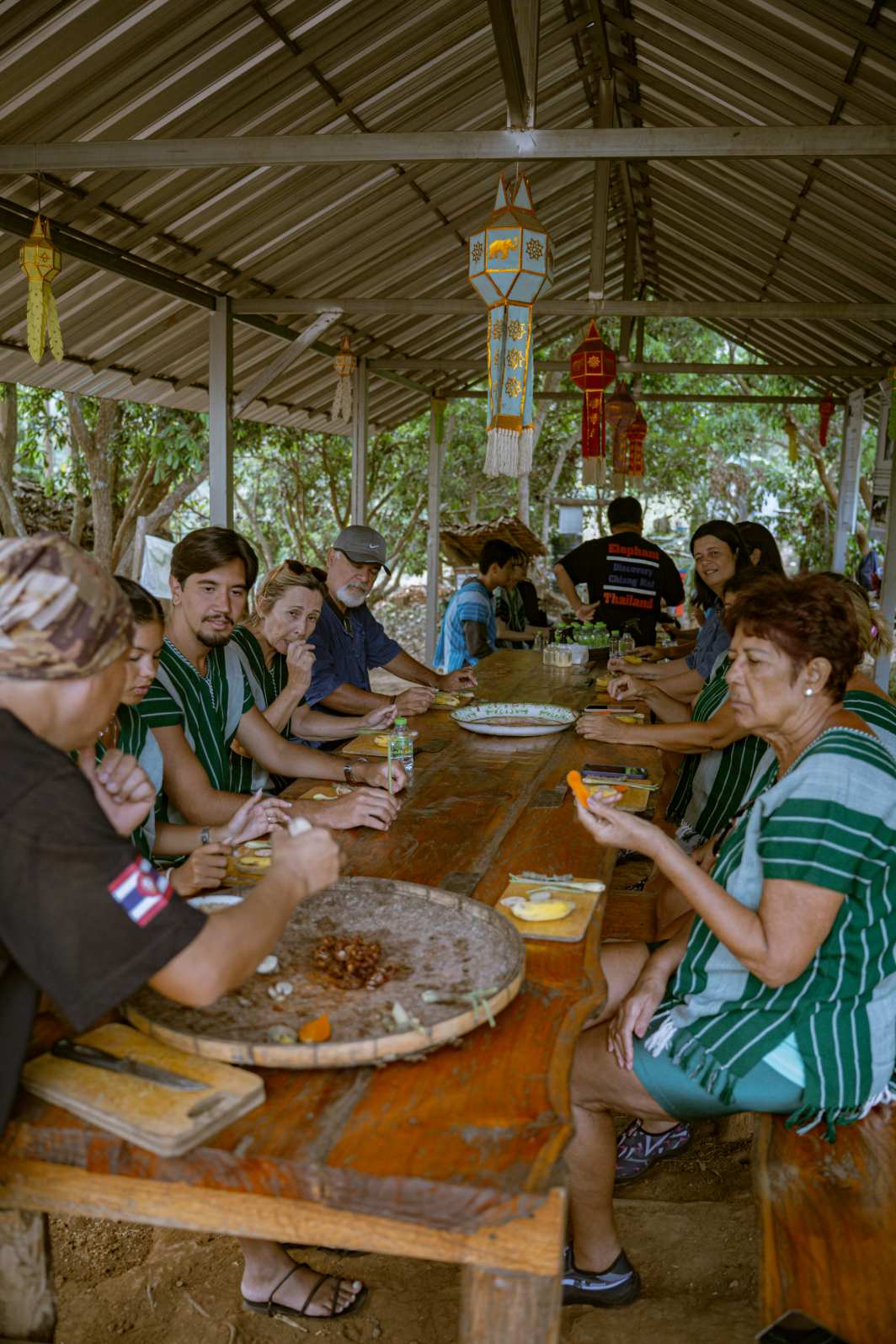 Tour Santuário Ético de Elefantes em Chiang Mai com Guia em Português