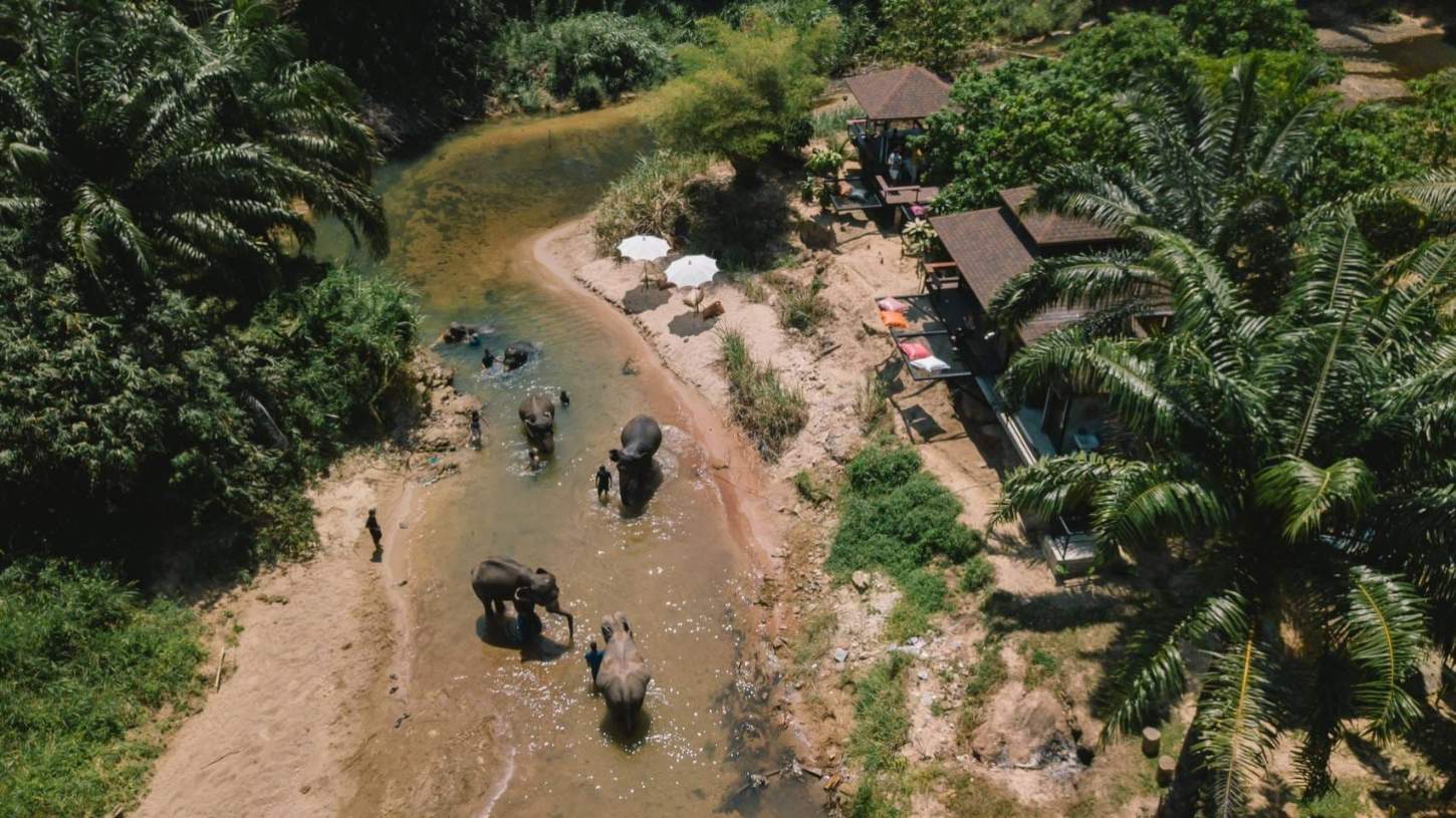 Tour Santuário Ético de Elefantes em Krabi com Guia em Inglês (ES007)