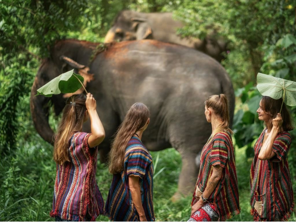 Tour Santuário Ético de Elefantes em Phuket com Guia em Inglês (ES003)