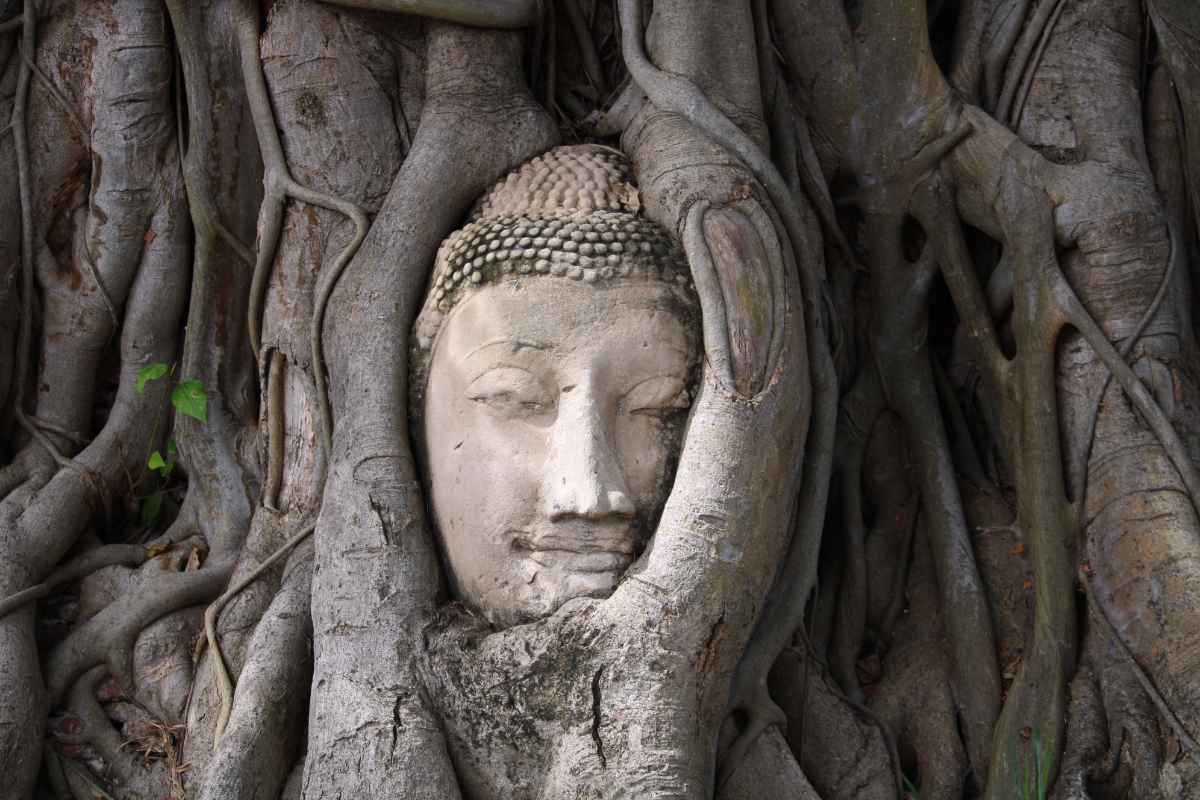 Tour Privado Ayutthaya em Inglês