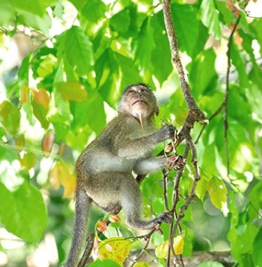 Tour Phi Phi Maya Bay embarque em Phuket (PK005)