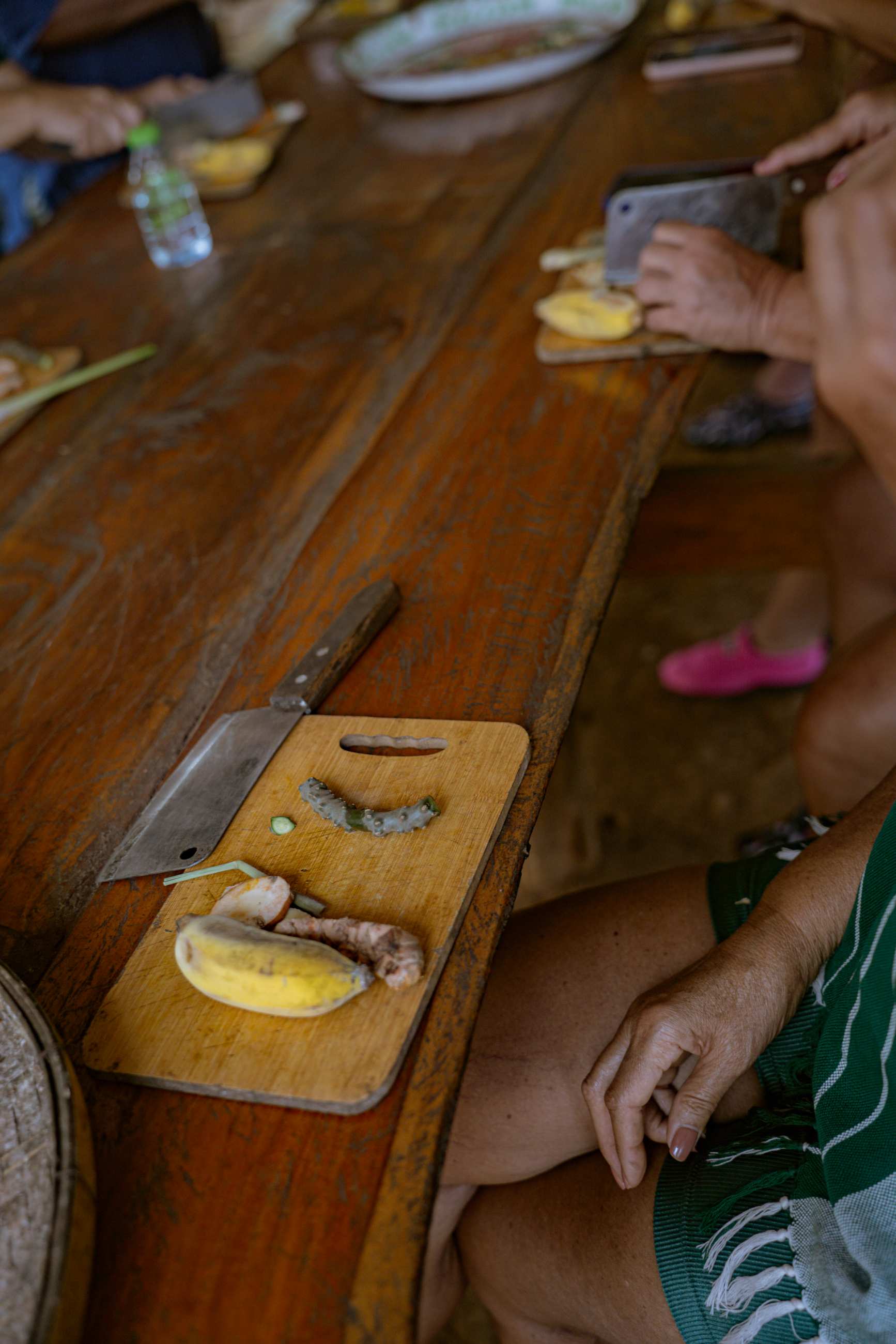 Tour Santuário Ético de Elefantes em Chiang Mai com Guia em Português
