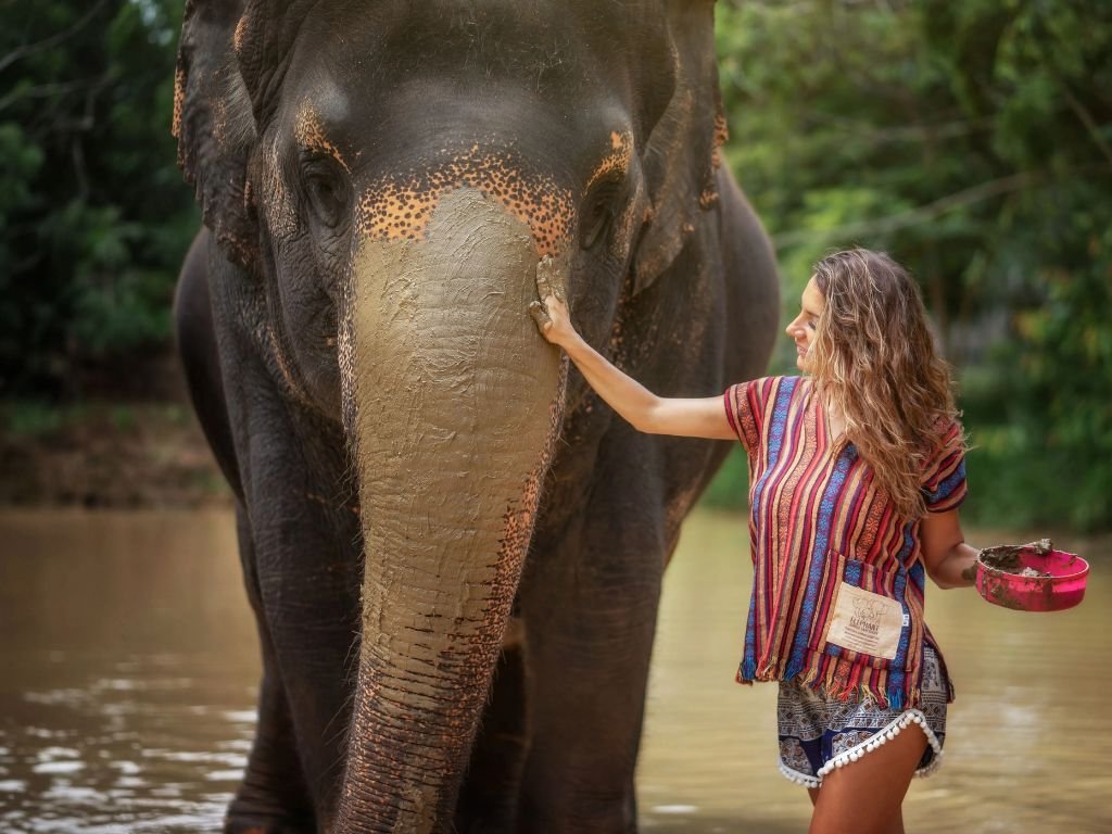 Tour Santuário Ético de Elefantes em Phuket com Guia em Inglês (ES003)