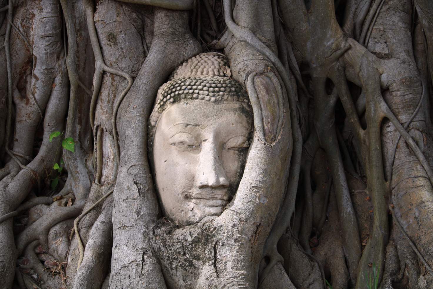 Tour Privado Mercados e Ayutthaya em Inglês