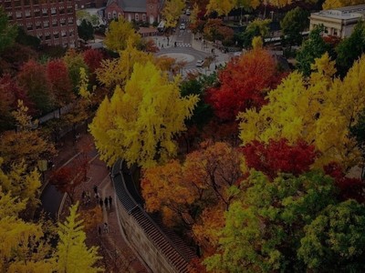 EXPEDIÇÃO COREIA DO SUL Novembro 2027
