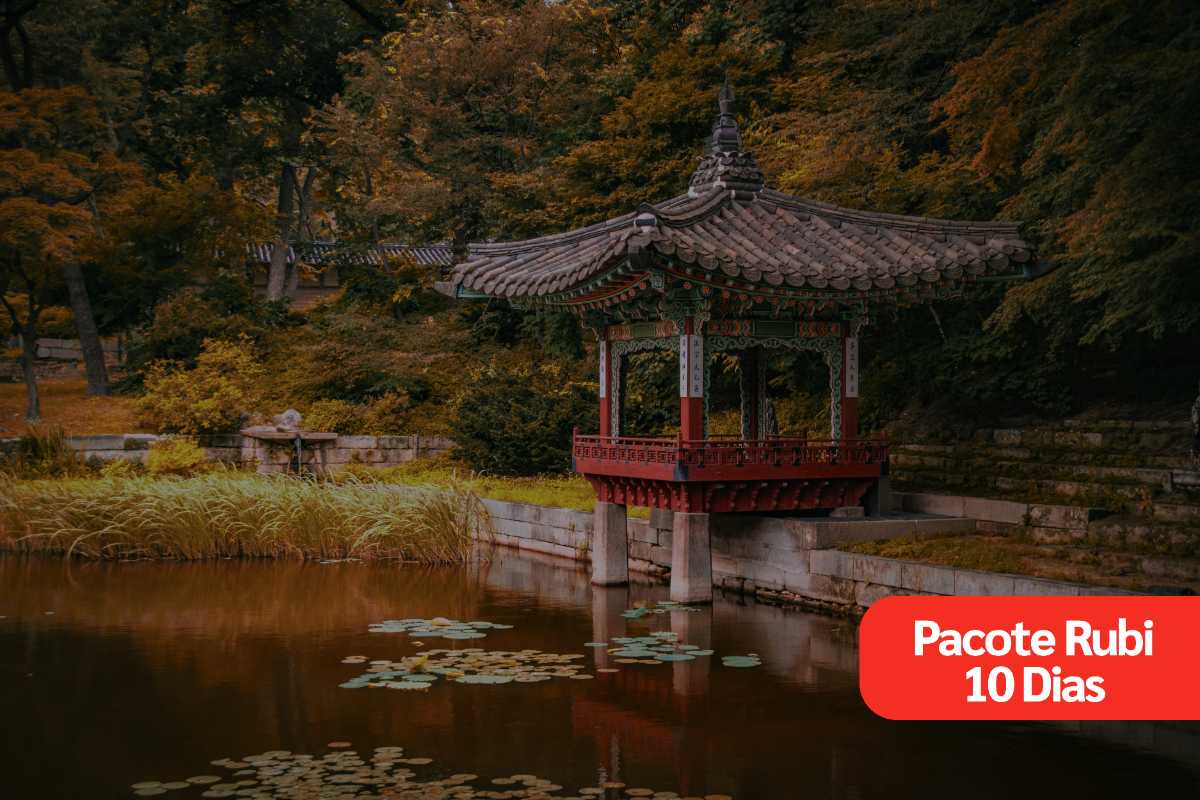 Coreia do Sul Outubro 2027 - 10 Dias