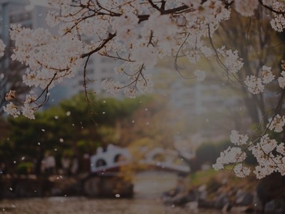 Expedição Primavera Coreia do Sul 2027