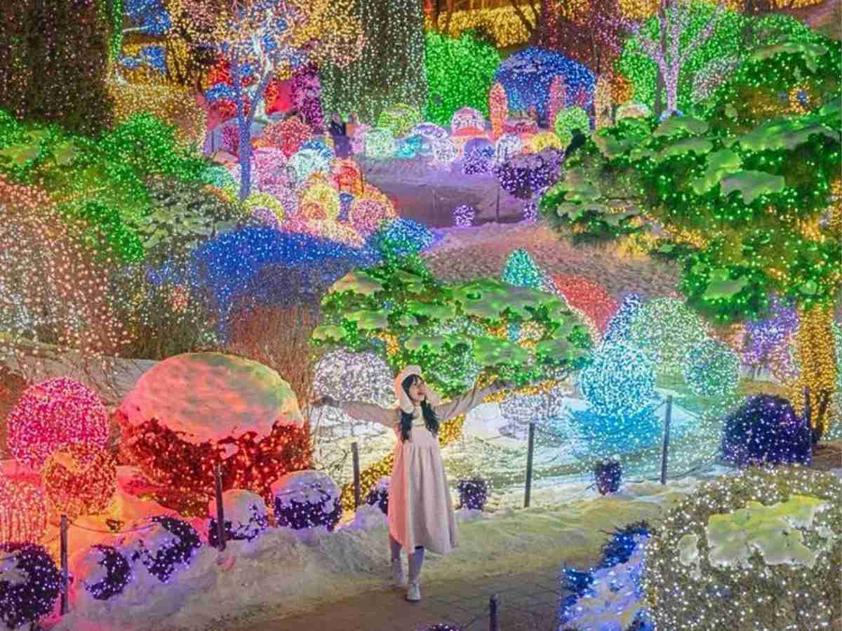 Expedição Ano Novo Coreia do Sul