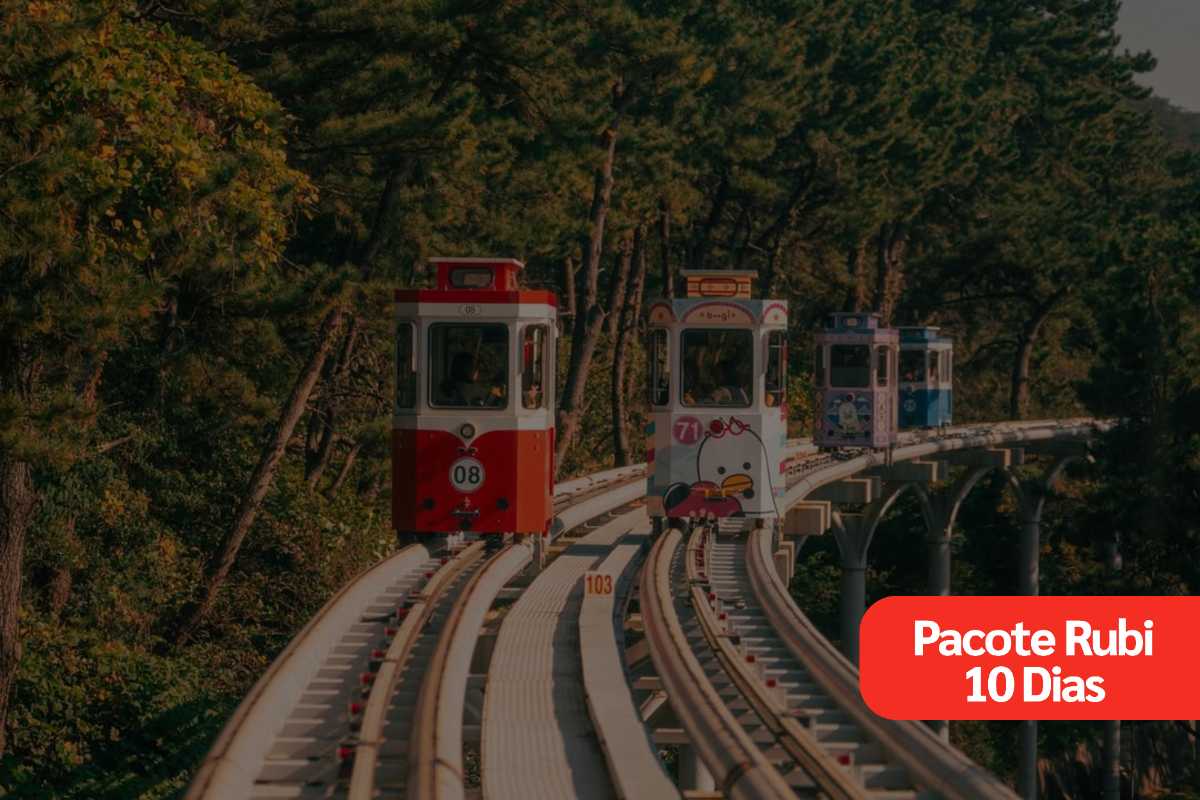 Coreia do Sul Julho 2026 - 10 Dias