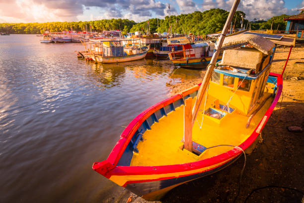 ARRAIAL D'AJUDA JANEIRO 2027