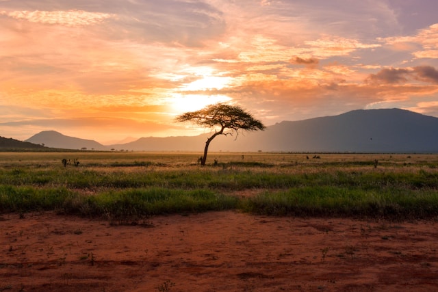 África do Sul: A Essência da Aventura.