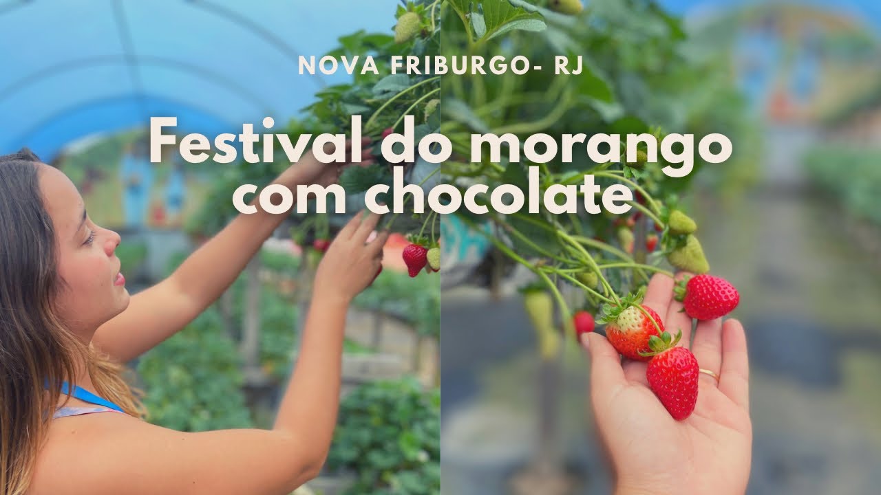 Festa do morango com chocolate