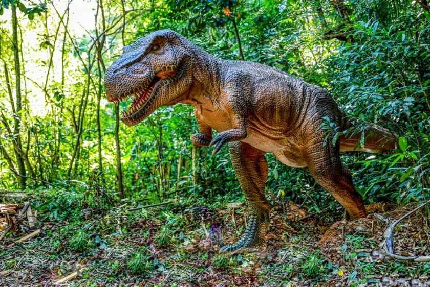Terra dos Dinos e Miguel Pereira RJ