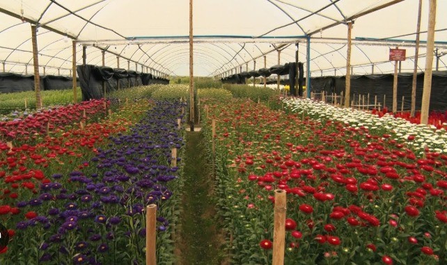 Nova Friburgo com Fazenda das Flores Heckert