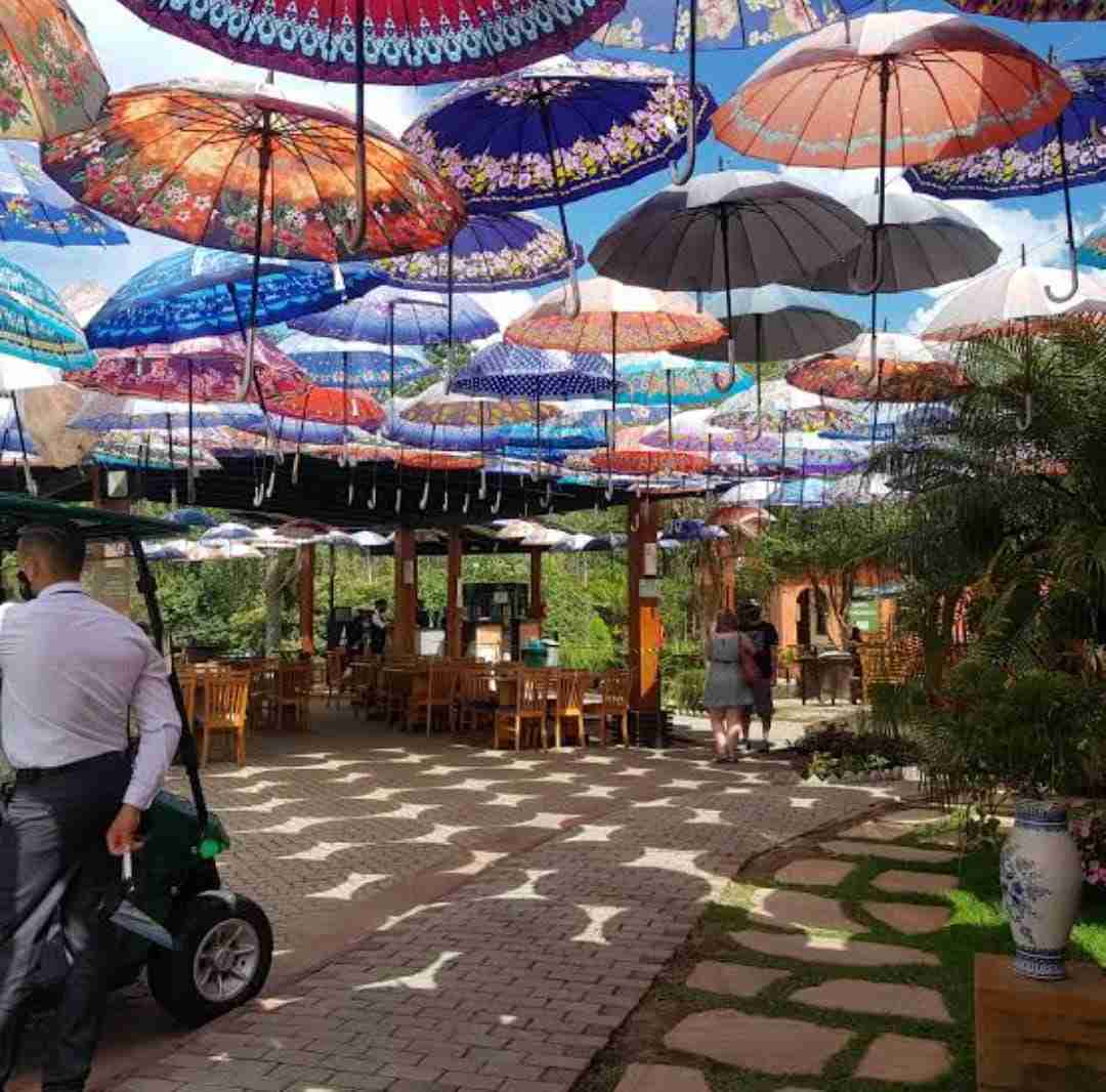 São Roque - SP