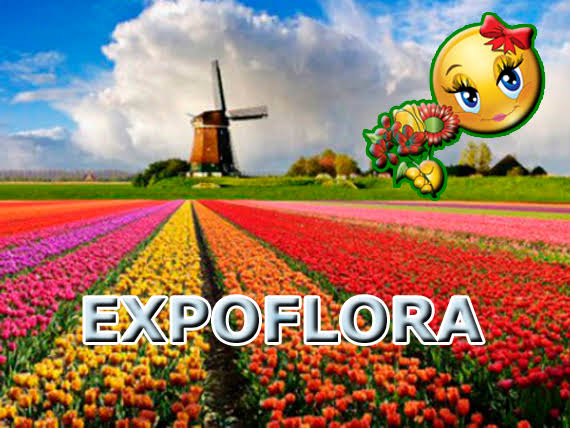 EXCURSÃO HOLAMBRA - EXPOFLORA 2024