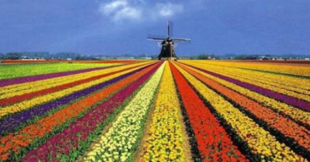 Circuito das águas paulista e Expoflora Circuito das águas paulista e Expoflora