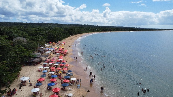 Porto Seguro Carnaval 2025